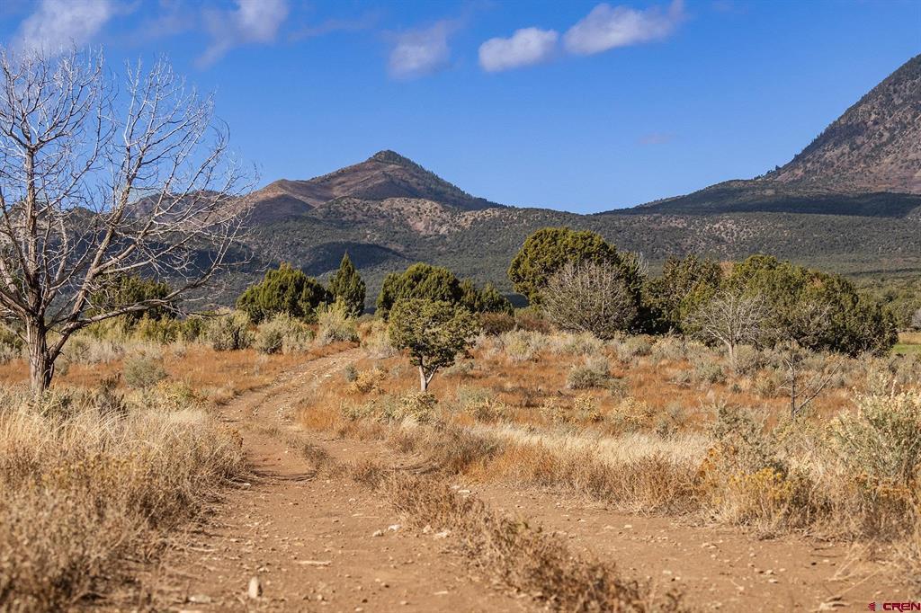 2997 20.5 Road Property Photo 9