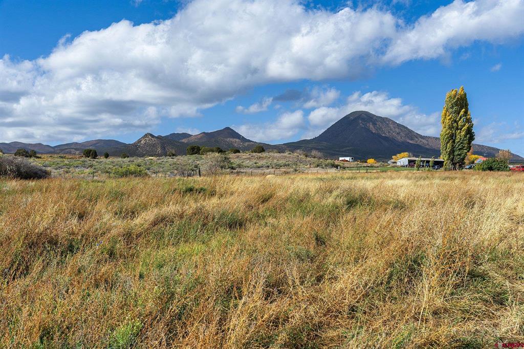 2997 20.5 Road Property Photo 19