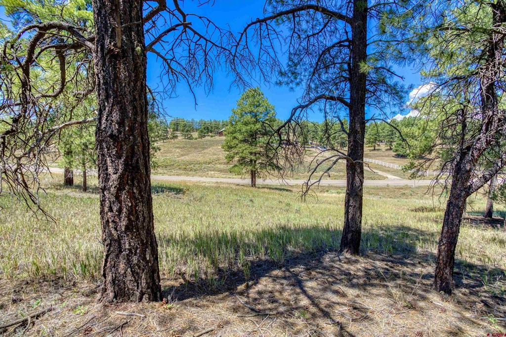 233 Stagecoach Lane Property Photo 3
