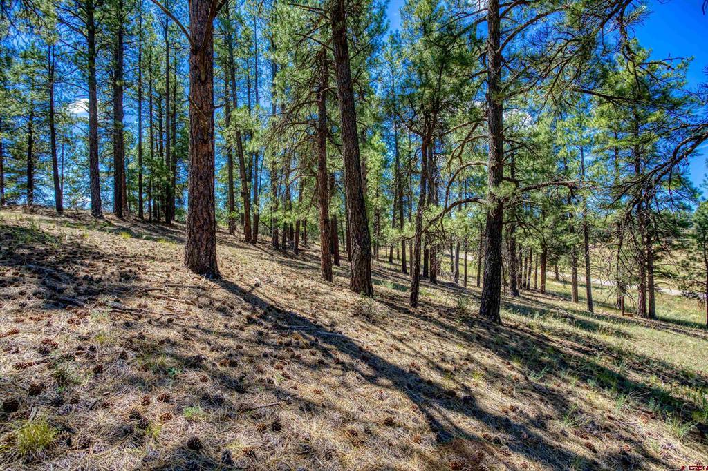 233 Stagecoach Lane Property Photo 4
