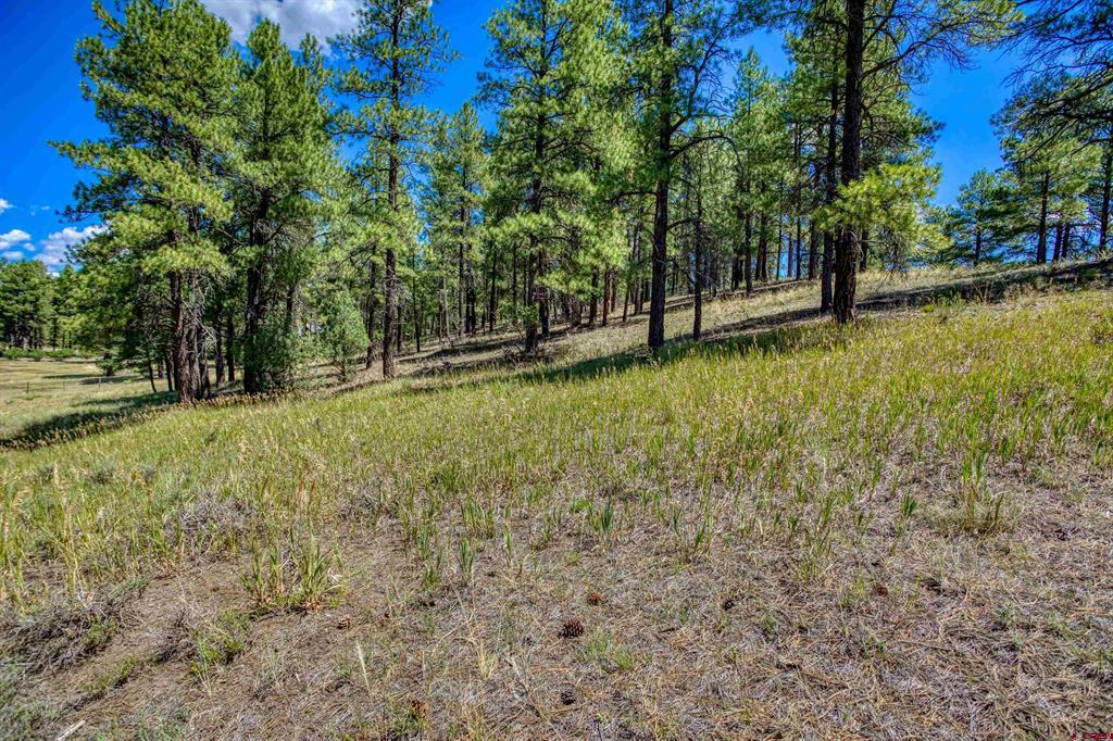 233 Stagecoach Lane Property Photo 6