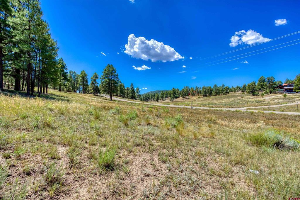 233 Stagecoach Lane Property Photo 8