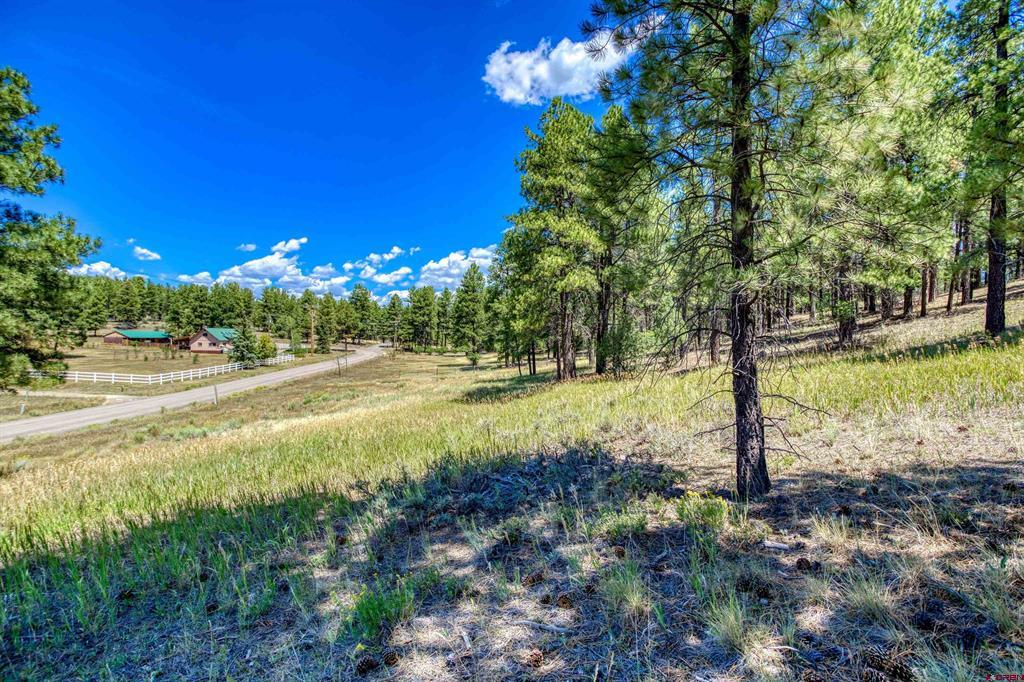 233 Stagecoach Lane Property Photo 10