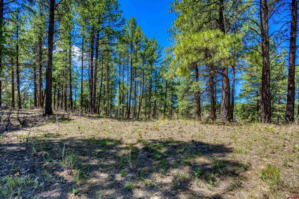 233 Stagecoach Lane Property Photo 11