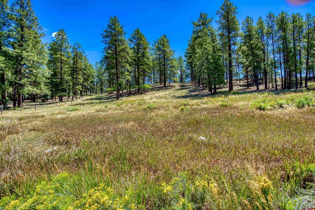 233 Stagecoach Lane Property Photo 12