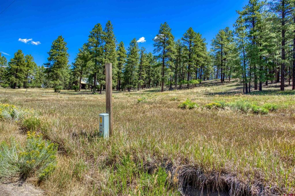 233 Stagecoach Lane Property Photo 13