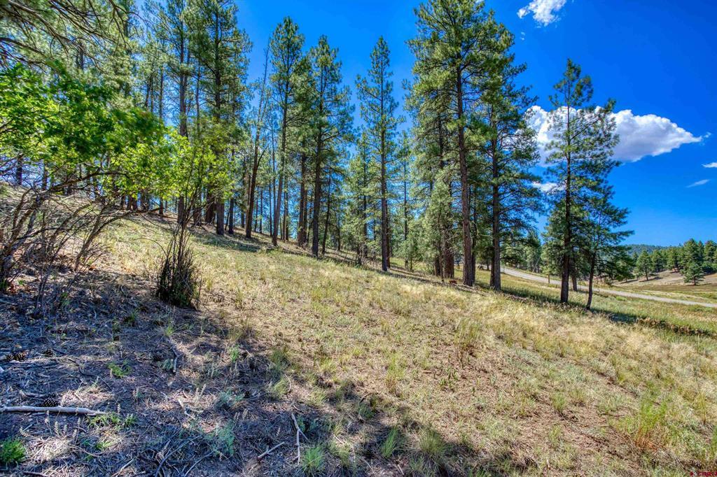 233 Stagecoach Lane Property Photo 15