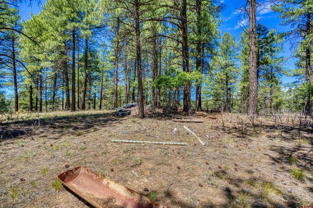 233 Stagecoach Lane Property Photo 16