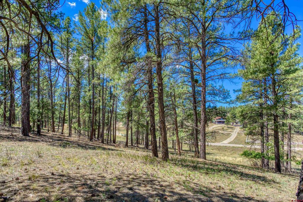 233 Stagecoach Lane Property Photo 17