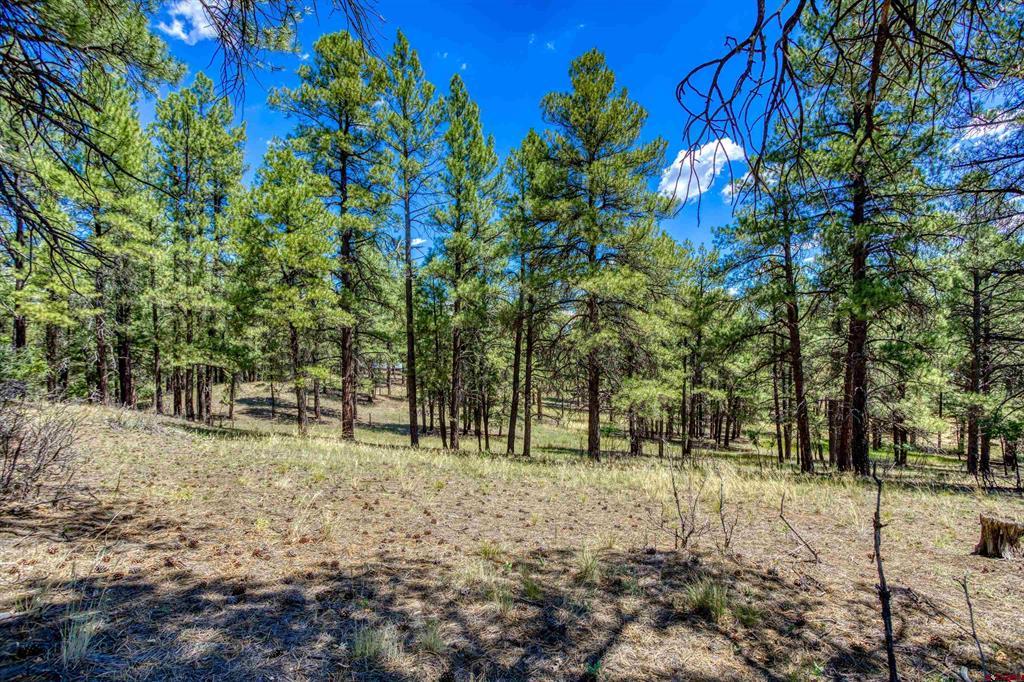 233 Stagecoach Lane Property Photo 18