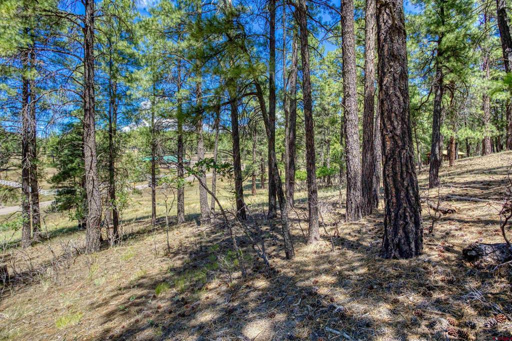 233 Stagecoach Lane Property Photo 19