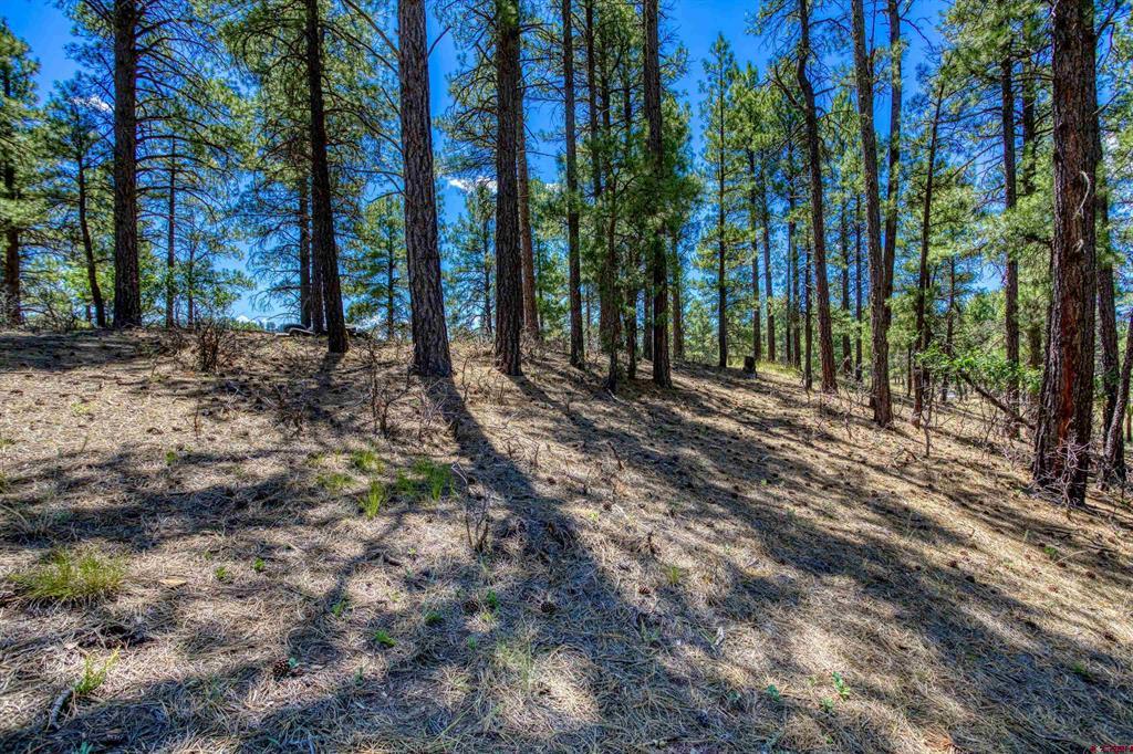 233 Stagecoach Lane Property Photo 20