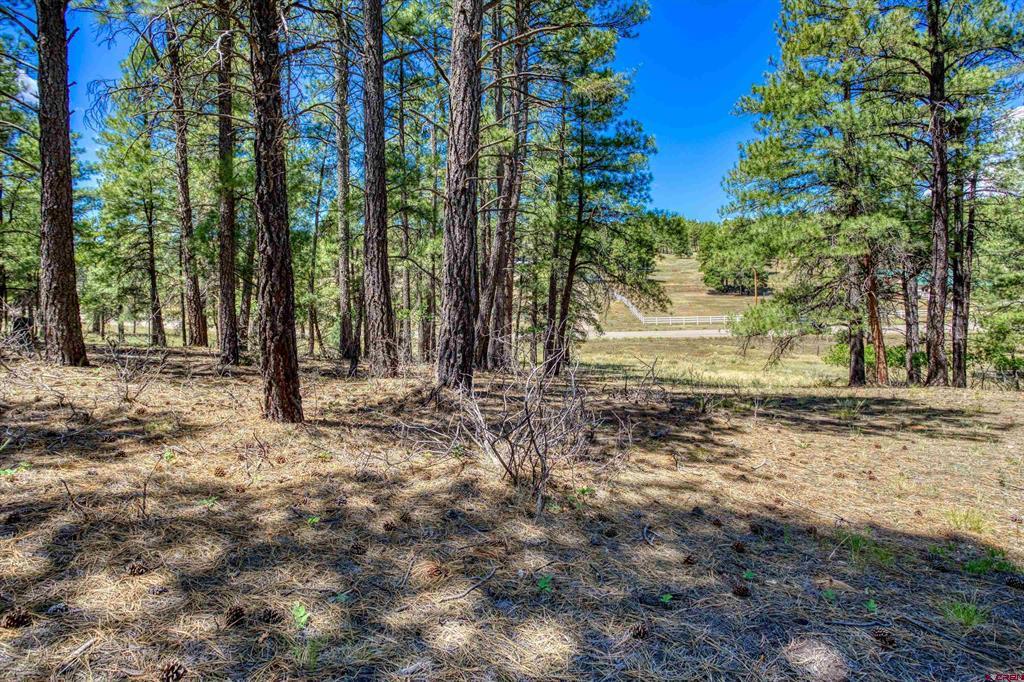 233 Stagecoach Lane Property Photo 21