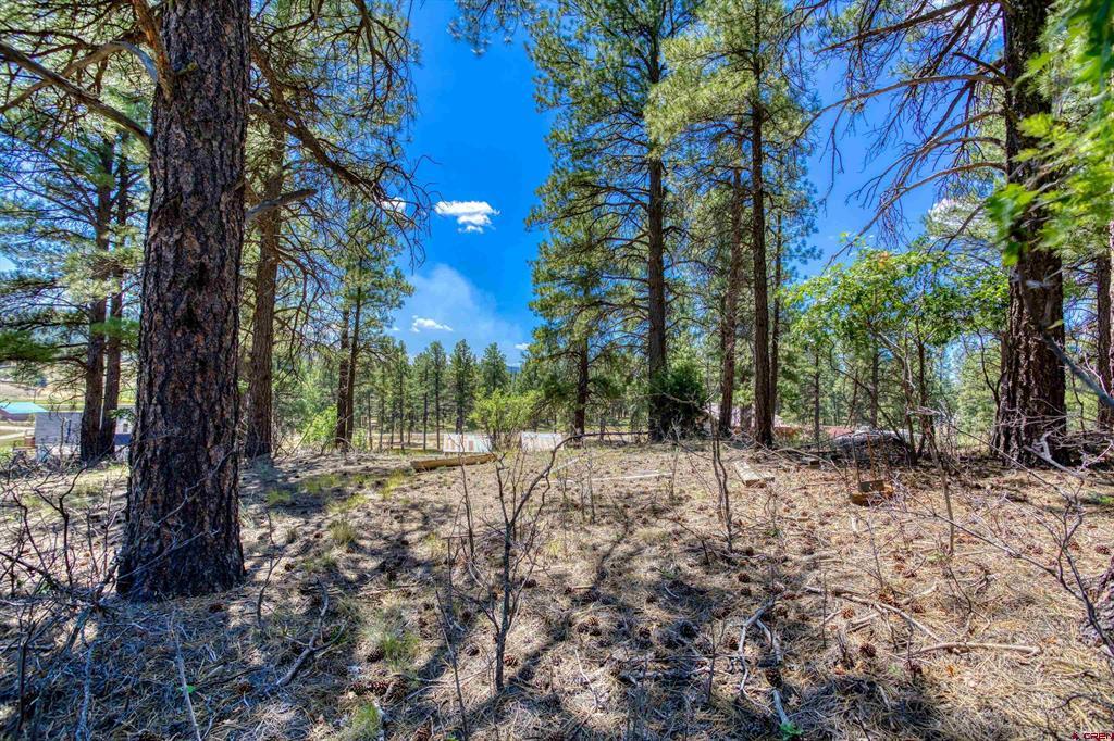 233 Stagecoach Lane Property Photo 22