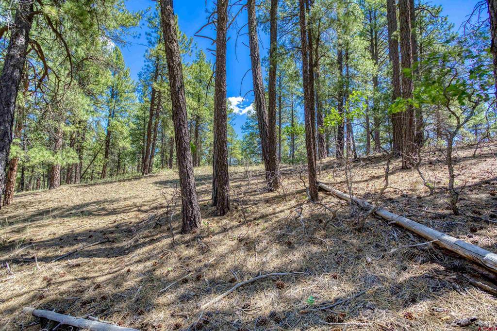 233 Stagecoach Lane Property Photo 23