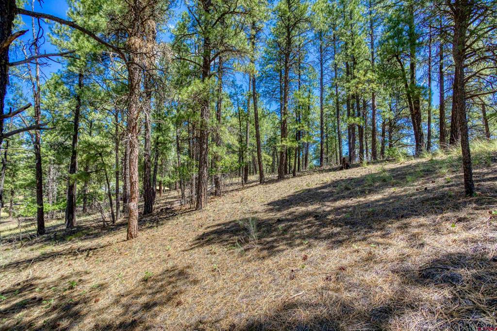 233 Stagecoach Lane Property Photo 24