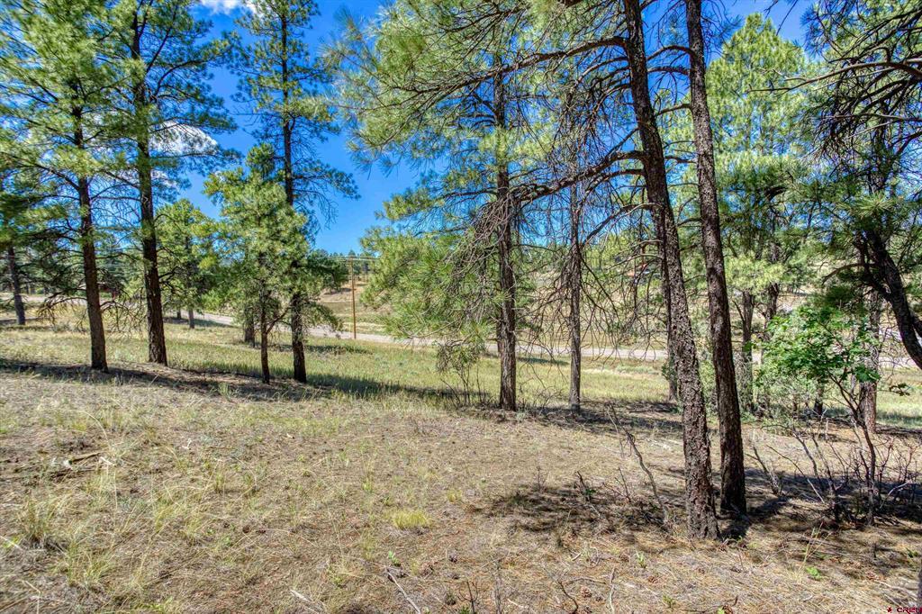 233 Stagecoach Lane Property Photo 25