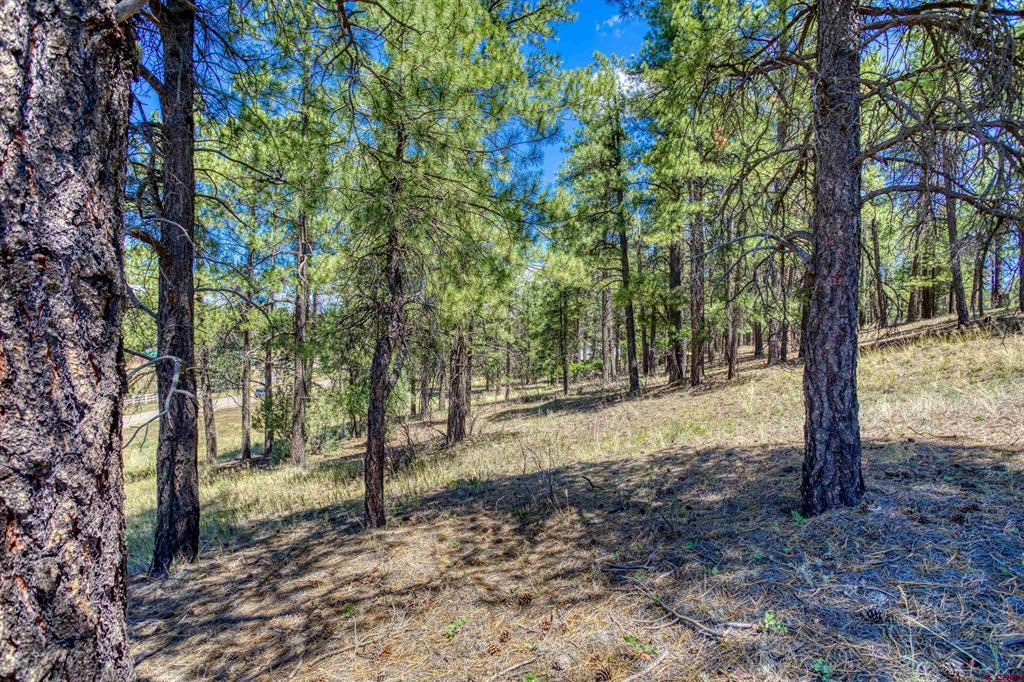 233 Stagecoach Lane Property Photo 26