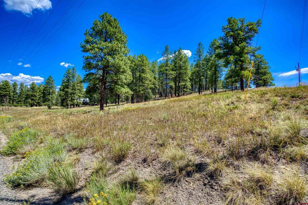 233 Stagecoach Lane Property Photo 27