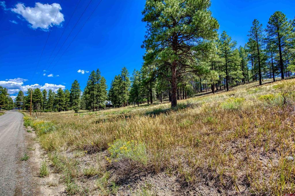 233 Stagecoach Lane Property Photo 28