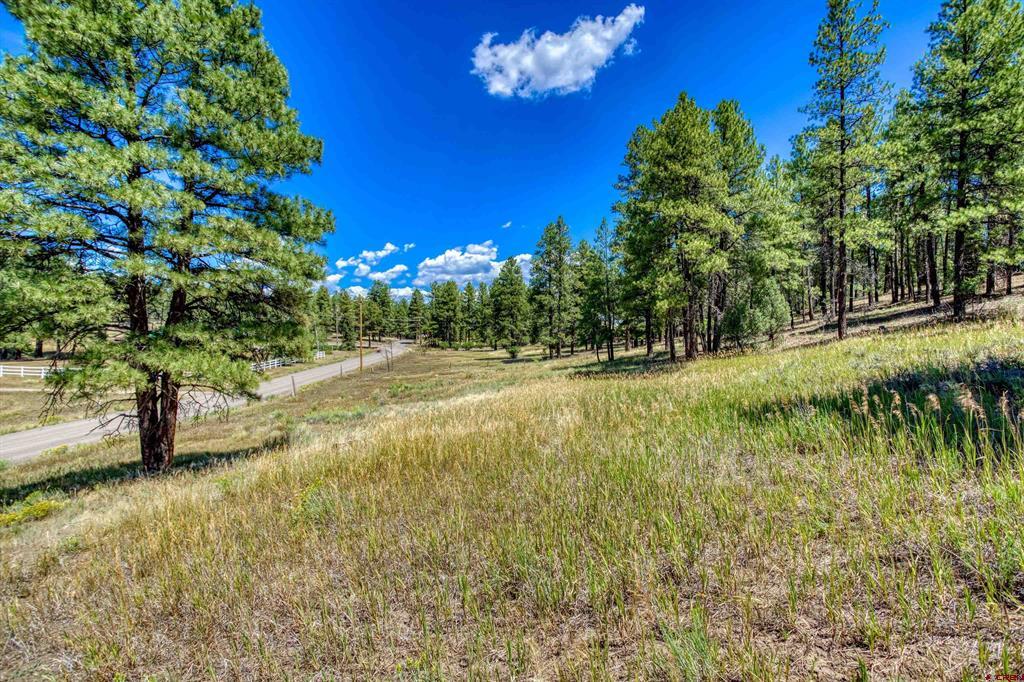 233 Stagecoach Lane Property Photo 29