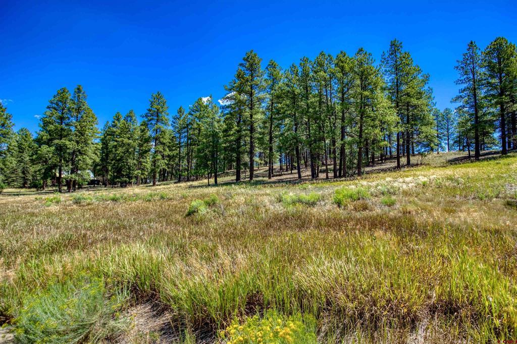 233 Stagecoach Lane Property Photo 30