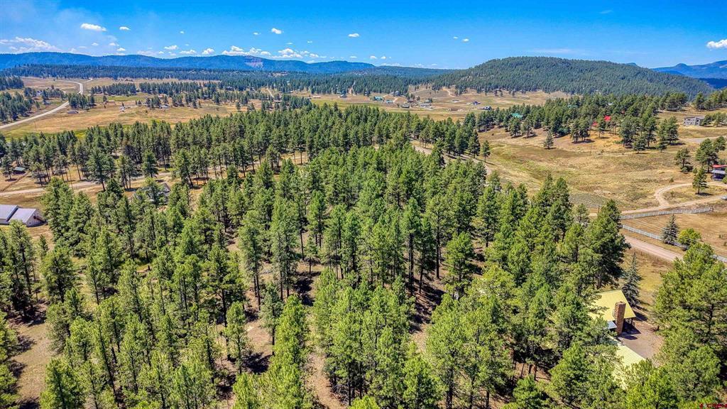 233 Stagecoach Lane Property Photo 38