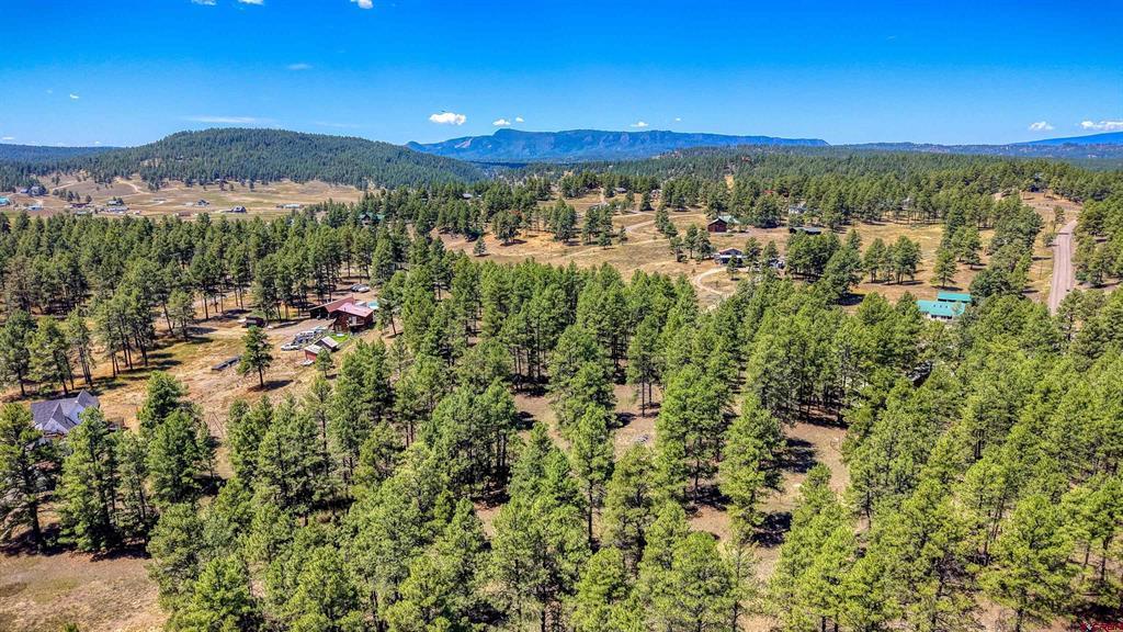 233 Stagecoach Lane Property Photo 41