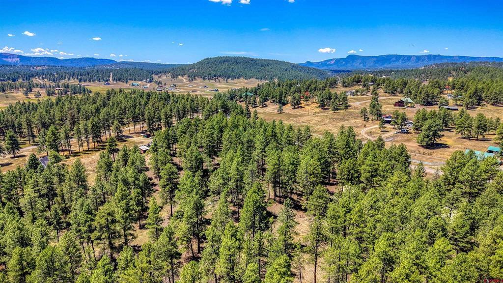 233 Stagecoach Lane Property Photo 45