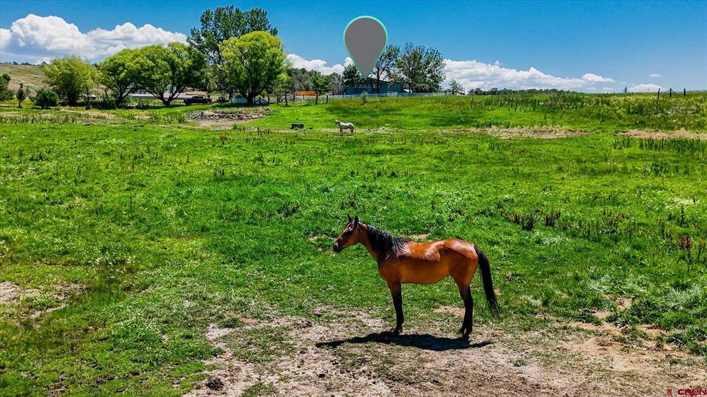 164 Sandia Circle Property Photo 2