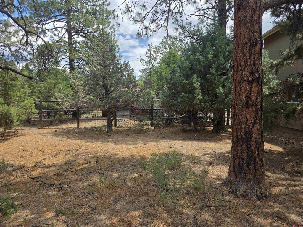 709 Ponderosa Drive Property Photo 35