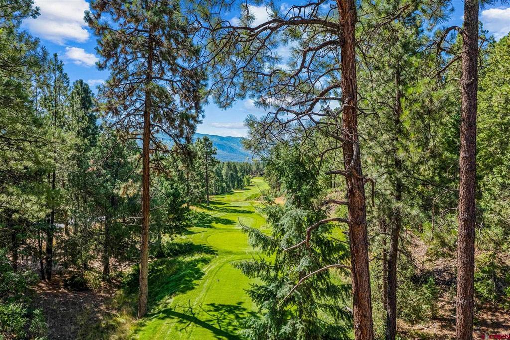 103 Glacier Cliff Drive Property Photo 42