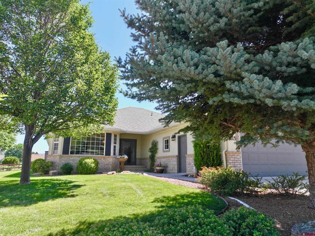 3813 Mount Hayden Drive Property Photo 4