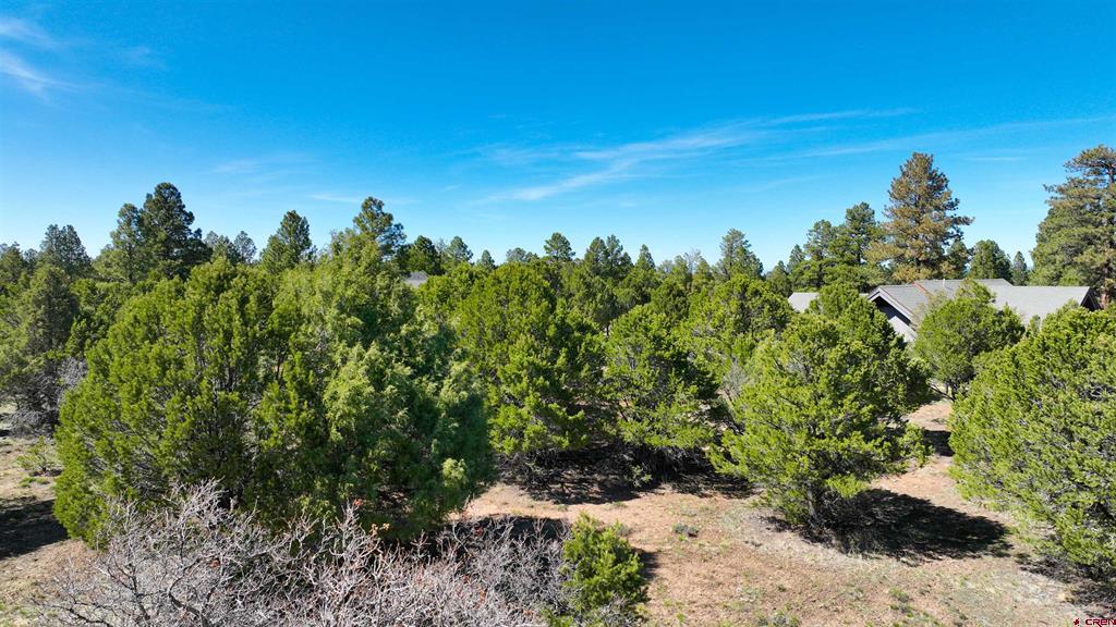 1627 Marmot Drive Property Photo 7