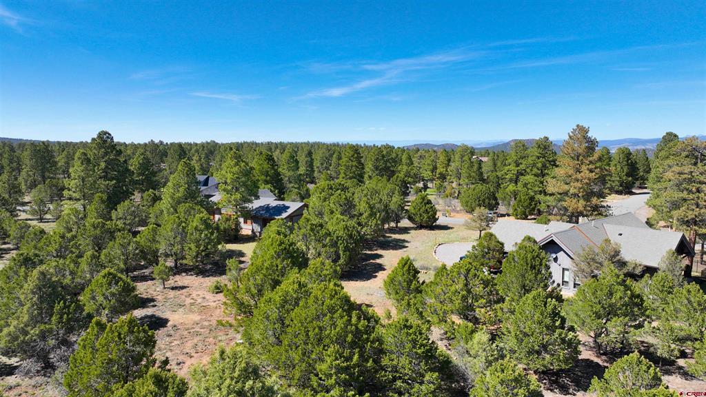 1627 Marmot Drive Property Photo 8