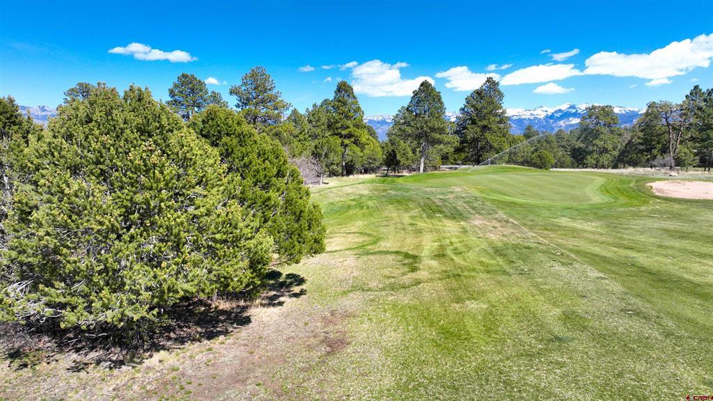 1627 Marmot Drive Property Photo 11