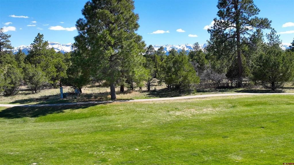 1627 Marmot Drive Property Photo 12