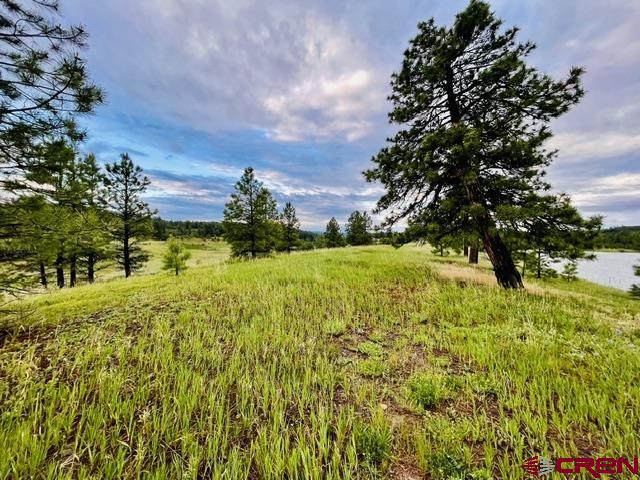 119 La Ventana Pl Property Photo 11