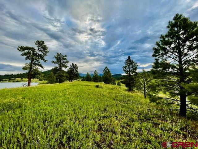 119 La Ventana Pl Property Photo 15