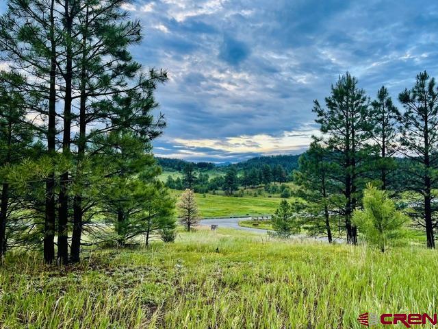 119 La Ventana Pl Property Photo 19