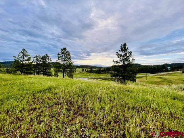 119 La Ventana Pl Property Photo 21