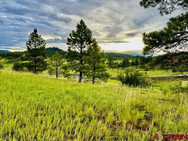 119 La Ventana Pl Property Photo 29