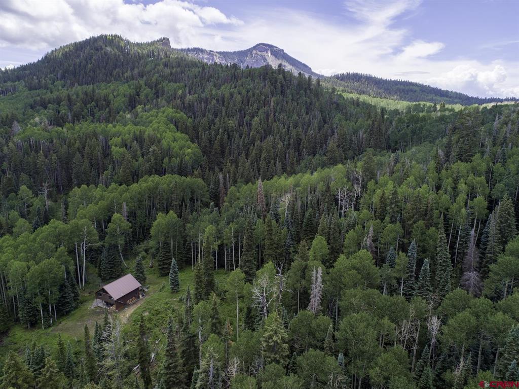 23749 7750 Trail Property Photo 9