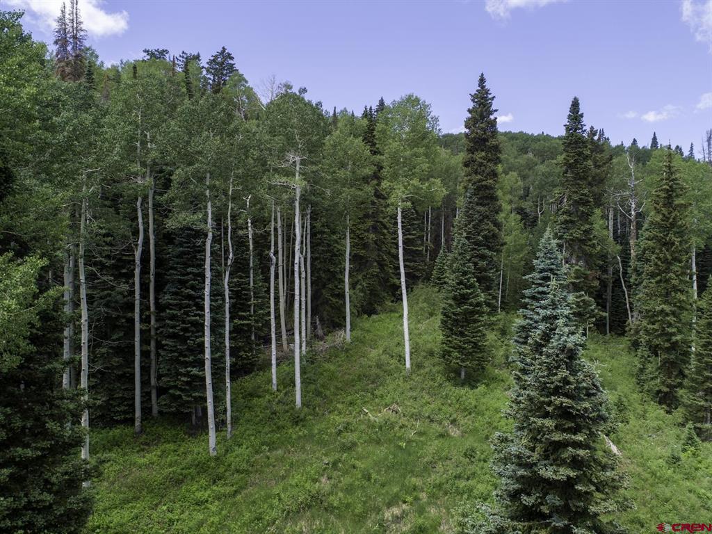 23749 7750 Trail Property Photo 10