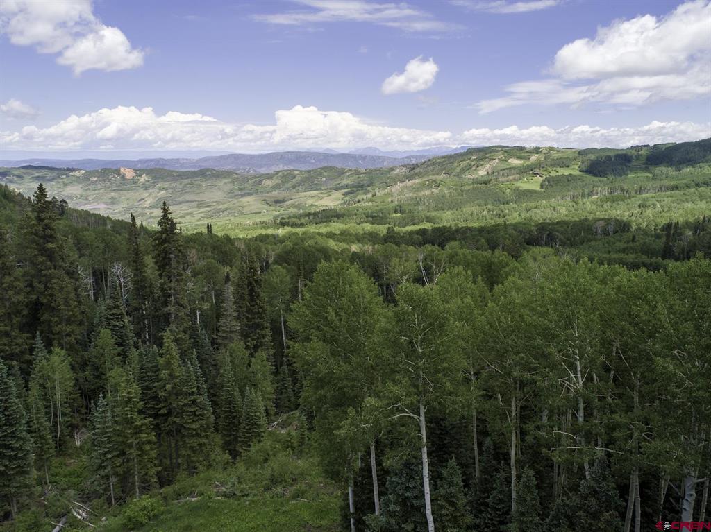 23749 7750 Trail Property Photo 11