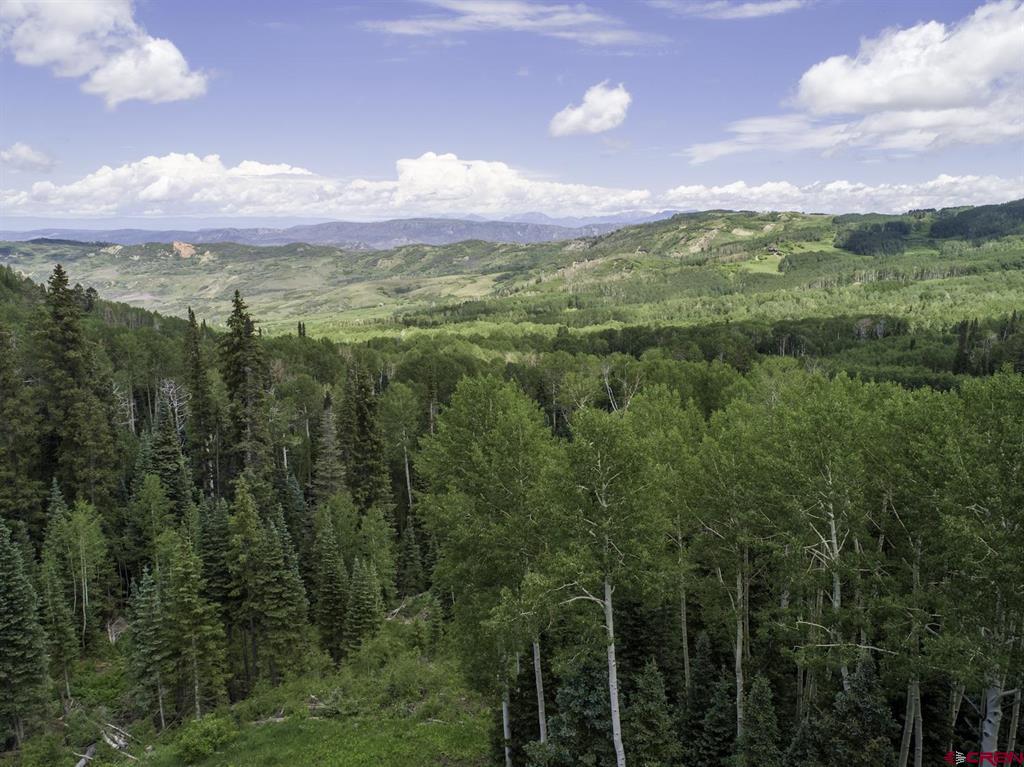 23749 7750 Trail Property Photo 13