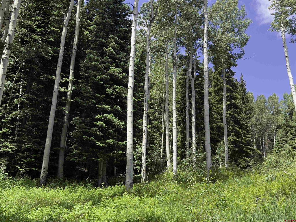 23749 7750 Trail Property Photo 29