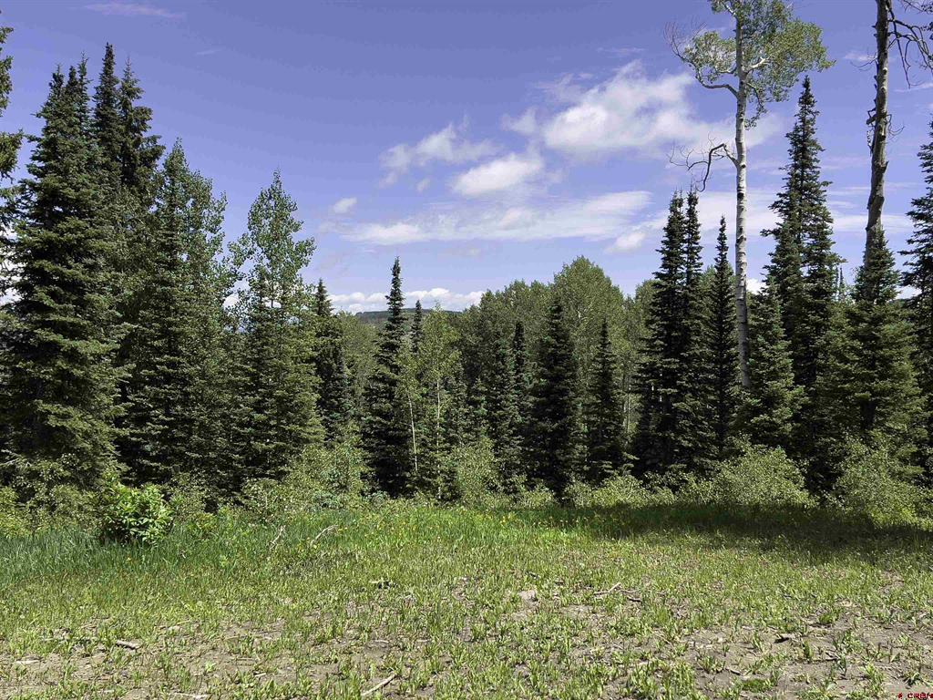 23749 7750 Trail Property Photo 32