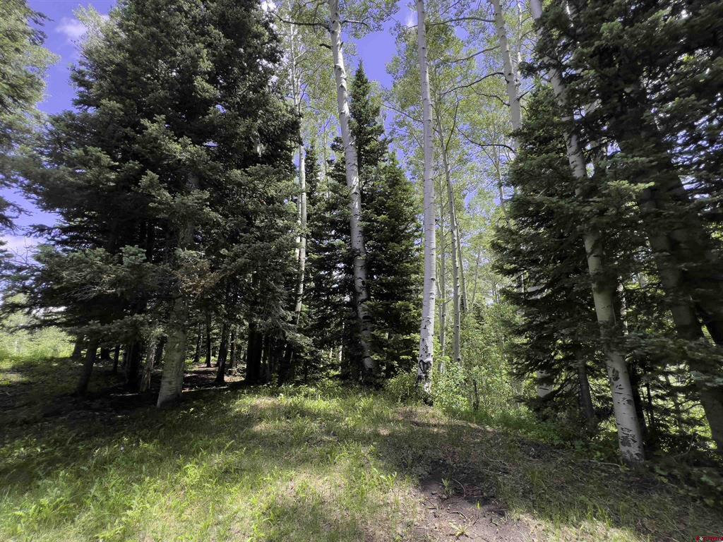 23749 7750 Trail Property Photo 33