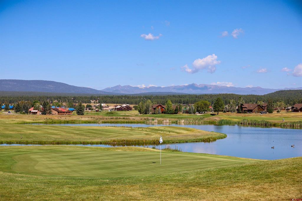 16 Holly Tree Circle Property Photo 43